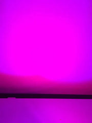 FX GLOW PINK - MILLAR LIGHT BARS - FX WHIPS, LLC