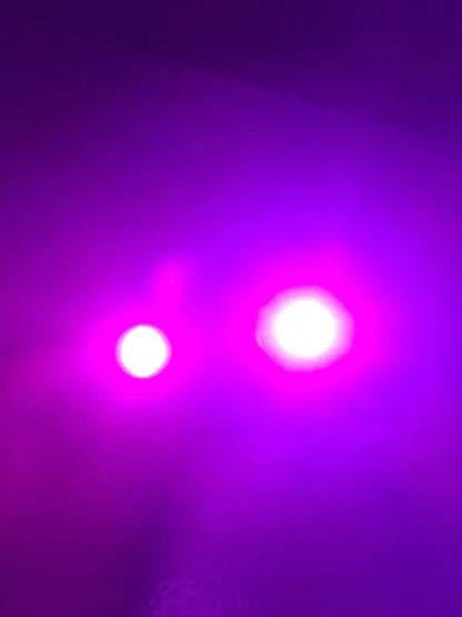 FX GLOW PURPLE - MILLAR LIGHT BARS - FX WHIPS, LLC